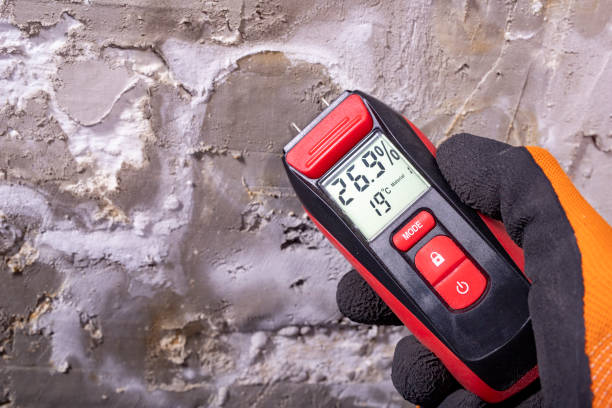 Best Industrial Mold Remediation in Halls, TN